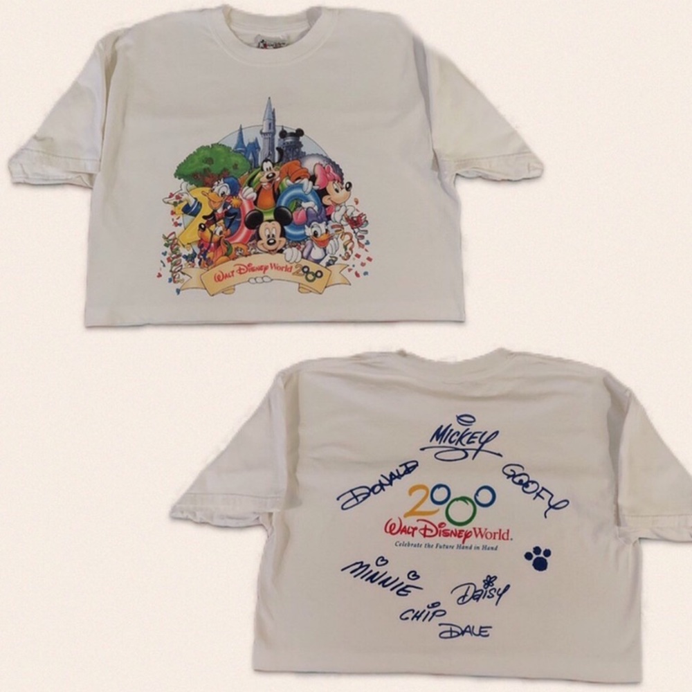 Disney crop top
